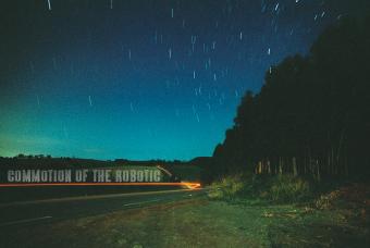 Black Cat on the Window Seal